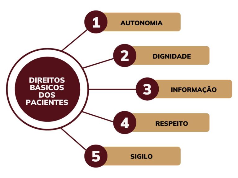 Direitos Dos Pacientes Guia Pr Tico Let Cia P Corr A